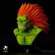 3.jpg Blanka Busto Street Fighters
