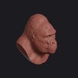 gorilla_0003.jpg Gorilla Head