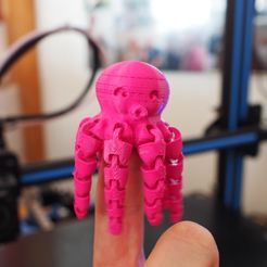 Cute Mini Octopus