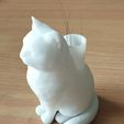 1769344052506.jpg Cat whiskers (Pet Hair) holder - Cat sculpture