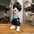 IMG_0100.jpg vegeta urban vibes Fan art (sem ams-multiparts/3mf)