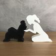 WhatsApp-Image-2022-12-26-at-17.47.33.jpeg Girl and her lhasa apso (tied hair) for 3D printer or laser cut