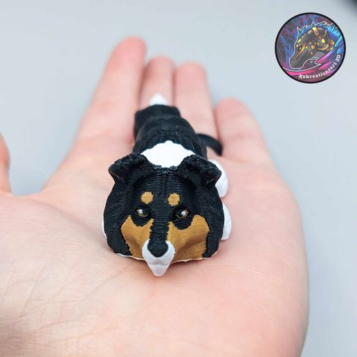 403637036_307206271680727_2275911397488454072_n.jpg Baby Dog and Cat Flexi Keychains (Set of 8.)