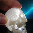 IMG_20200925_233615.jpg Articulable Skull Articulable Skull
