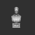 1.jpg Arnold T-800 bust with glasses for 3d print stl .2 options