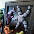 20240229_132006.jpg Flexi Starfish kitchen magnet - print in place - articulated fidget toy