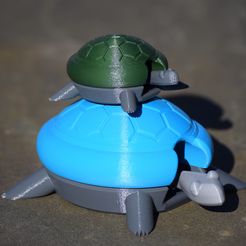 DSC_0117.JPG Bobblehead Turtle