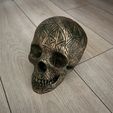 IMG_4097.jpeg Triangulated Skull [box]