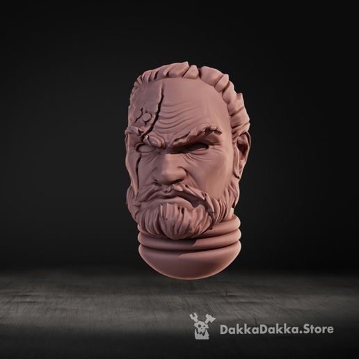 00.jpg Archivo 3D Cabezas de héroes legendarios x5・Modelo imprimible en 3D para descargar, DakkaDakkaStore