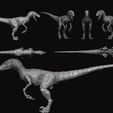 r10.jpg Modelo de figura Raptor