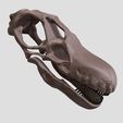 Patagotitan-crâne07.jpg Patagotitan skull in 3D