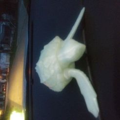 Loggerhead Sea Turtle (poseable)