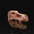 DSC06151.jpg Carved T-Rex Skull