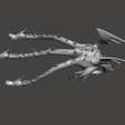 Screenshot_2.png Magellan's Hydra 3D Model