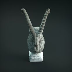 Ibex_1.jpg 3D-Datei Sibirischer Steinbock Büste・Design zum Herunterladen und 3D-Drucken, AnimalDenMiniatures