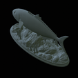 Greater-Amberjack-statue-1-53.png fish greater amberjack / Seriola dumerili statue underwater detailed texture for 3d printing