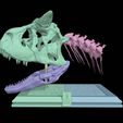 carno-divisions.jpg Carnotaurus skull