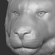18.jpg Tiger head for 3D printing