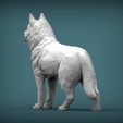 Husky3.jpg Husky 3D printed model