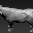 11.jpg Toros Bravos