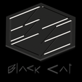 BlackCat3D