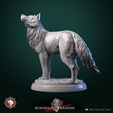 wolf_V2.png Wolves 6 miniatures set 32mm