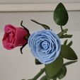 IMG_20240616_201958.jpg Rose | 3D Printable Rose ©