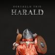 FEED-2023-06-01T132333.529.jpg Hornhelm Trio - Harald