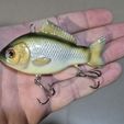 Crucian-carp-85mm-4.jpg Crucian carp vibe fishing lure