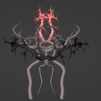 17.png 3D Model of Brain and Blood Supply - Circle of Willis