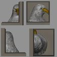 Bald-eagle1.jpg Majestic Eagle Head Bookend