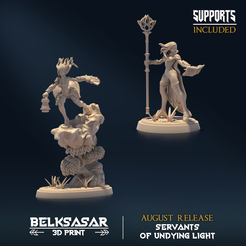 002.png 3D file Undying Light Windmage Nude Set x2・3D print design to download