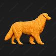 519-Australian_Shepherd_Dog_Pose_02.jpg Australian Shepherd Dog 3D Print Model Pose 02