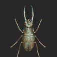 detailed-stag-beetle-verdegris-2.jpg Stag beetle with ornamental details