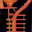 PS0029.jpg Human arterial system schematic 3D