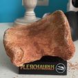 1-2.jpeg FOSSILS BASE JURASSIC PARK STYLE