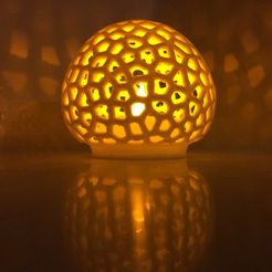 FullSizeRender_4.jpg Fichier STL gratuit Abat-jour LED en forme de champignon Voronoï・Design pour imprimante 3D à télécharger