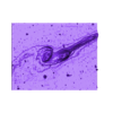 NGC 4676.stl NGC 4676 Galaxy 3D software analysis