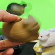 IMG_4732.jpg Oiia Oiia Cat meme spinner