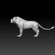 liiiii3.jpg Lion male - toon lion - cartoon 3d lion