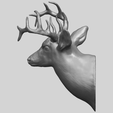11_TDA0615_Deer_HeadA01.png Hirschkopf