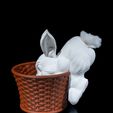 Cottontail-Rabbit-Basket-3.jpg Cestino a forma di coniglio dal codino bianco