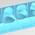 ocells dieta forma.jpg Archivo STL Aves y su alimentación. 3D didáctico de pájaros. Idioma inglés.・Modelo de impresora 3D para descargar