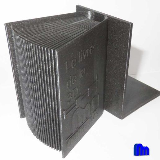 serrelivre2.jpg Bookend