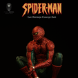 SMRP8.png SPIDER- MAN 1/9 (20cm)