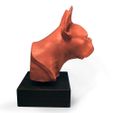 frenchie bust rt side view500px.jpg The Frenchie Bust  |  Foundation Series