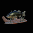 bass-na-podstavci-2.png bass 2.0 underwater statue detailed texture for 3d printing