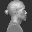 9.jpg Virgil van Dijk bust for 3D printing
