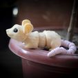 _MG_1852.jpg Ratón Flexi Print in Place Cuerpo Snap Fit Cabeza STL/3MF