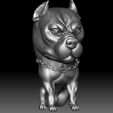 Bully6.jpg Pit Bull 3D STL file printable Bully model